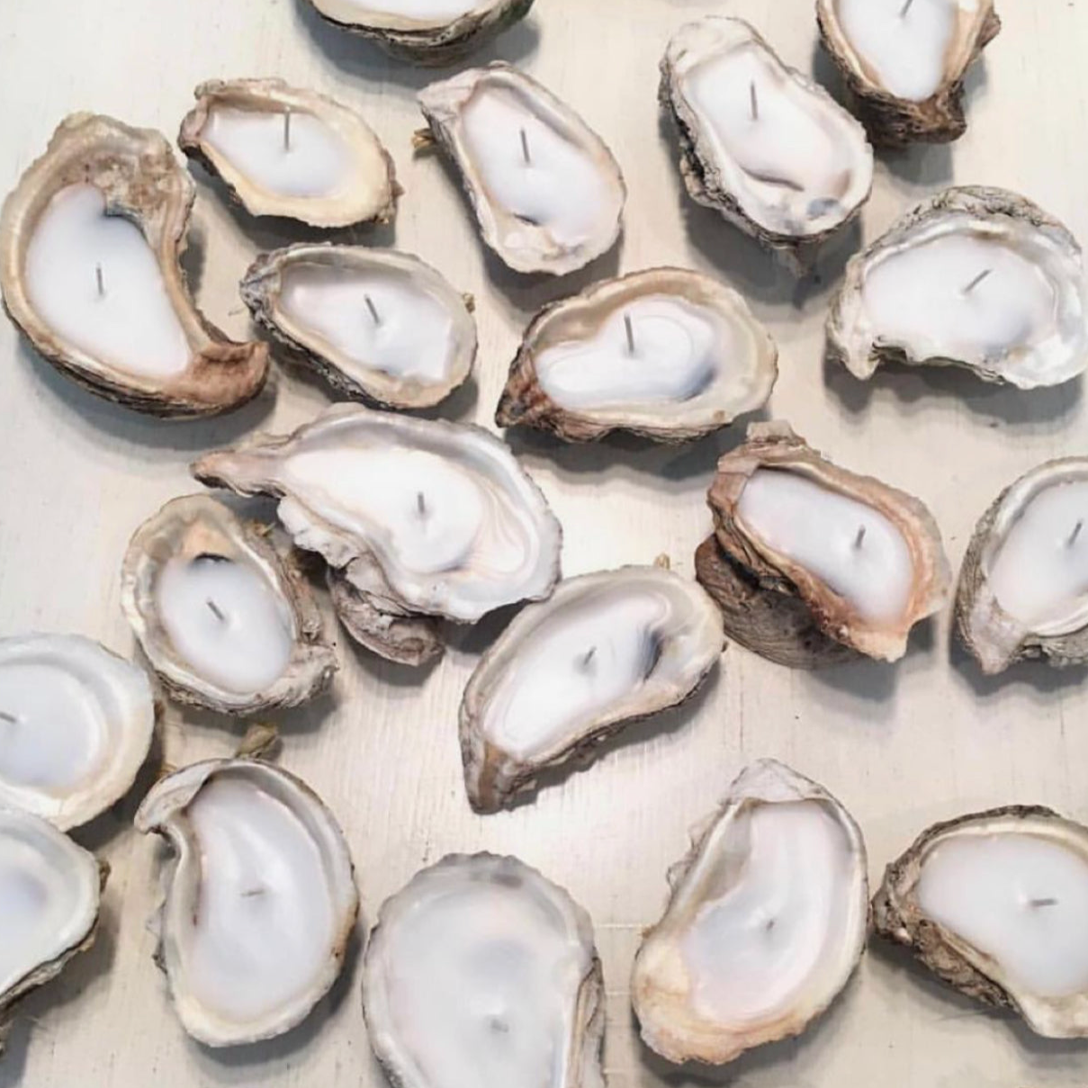 SOFIA – Oyster Shell Candle, Handgjutet - Set om Tre