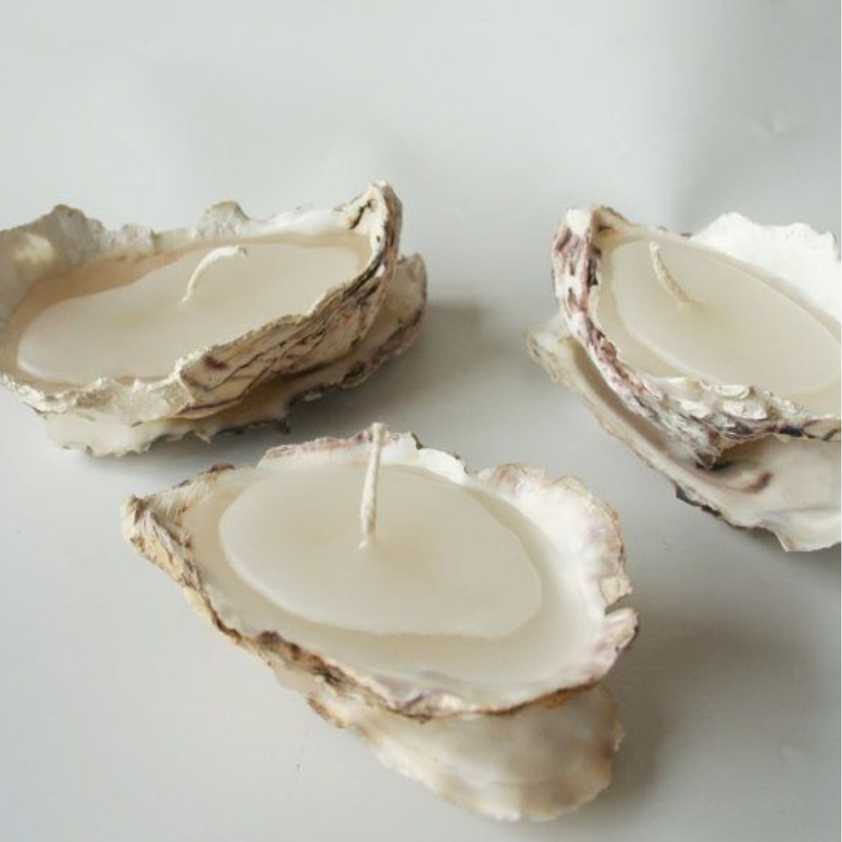 SOFIA – Oyster Shell Candle, Handgjutet - Set om Tre