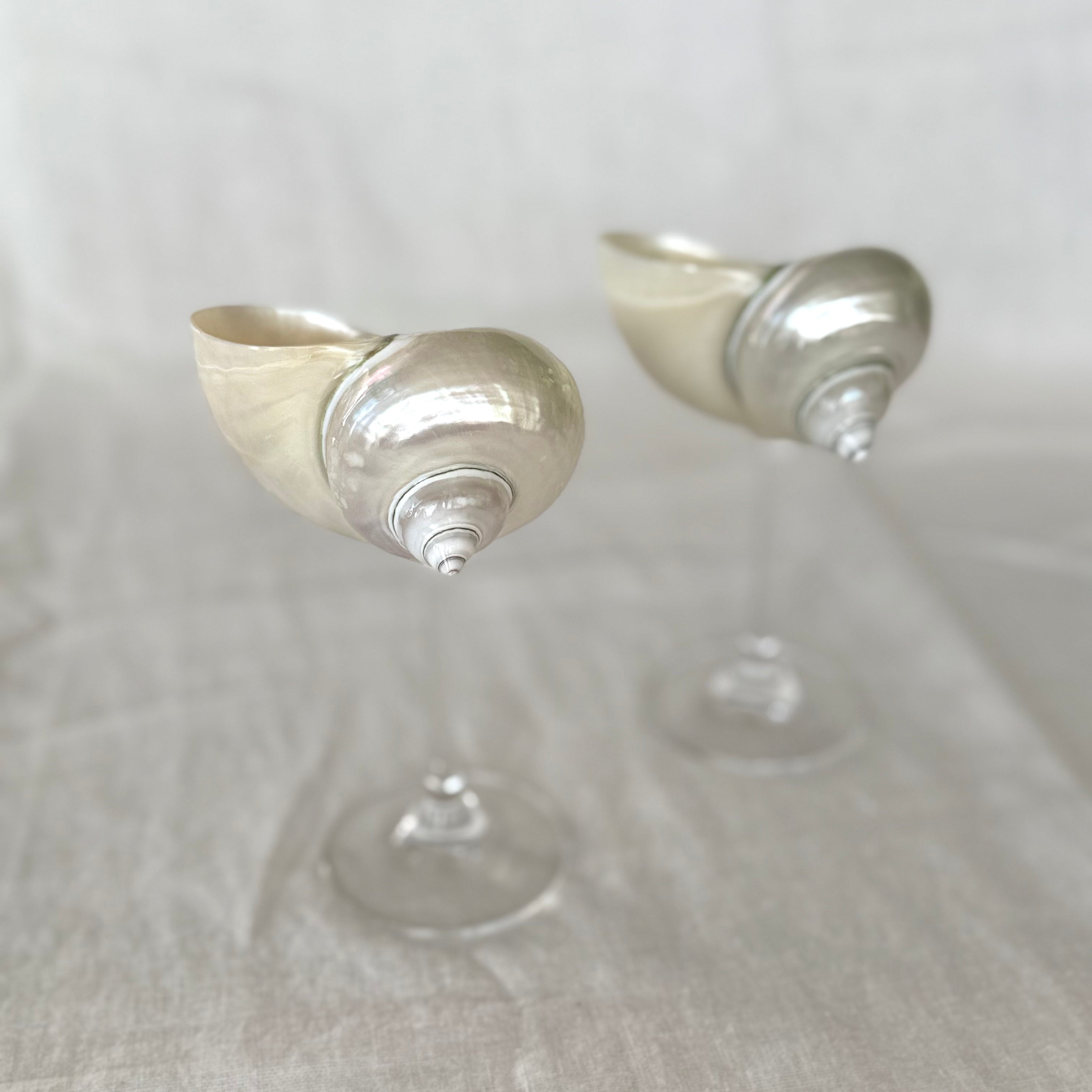 SHANNON – Handgjort Conch Shell Glas, 150 ml