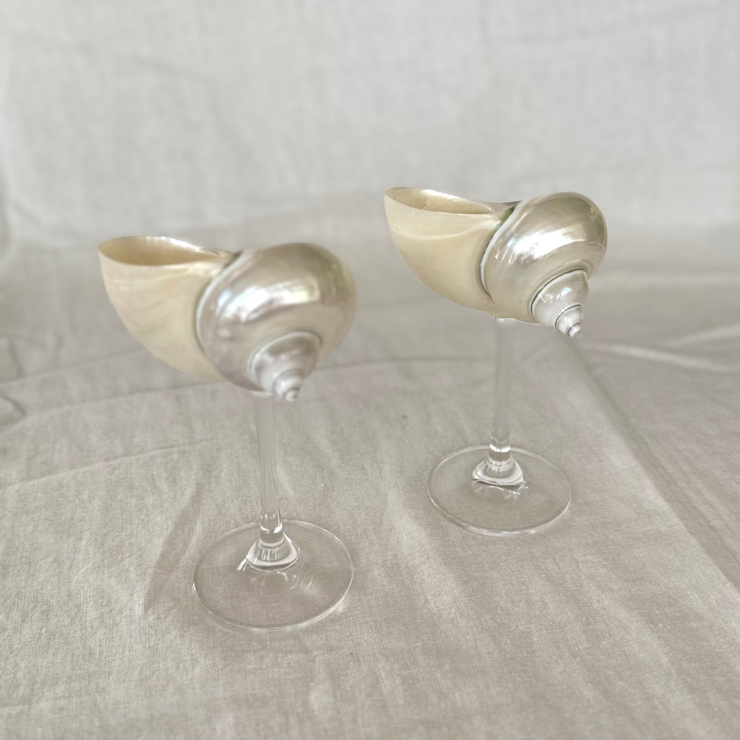 SHANNON – Handgjort Conch Shell Glas, 150 ml