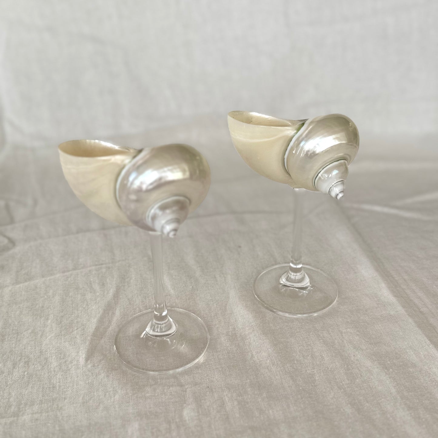 SHANNON : HANDMADE CONCH SHELL CRYSTAL WINE GLASS